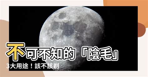 陰毛少|腋毛、陰毛......身體這些毛該不該剃？醫師建議這麼做｜元氣